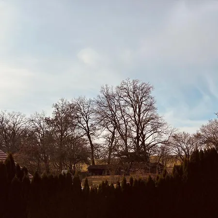 Alpenblick Διαμέρισμα *