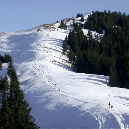 Apartment Alpenblick *