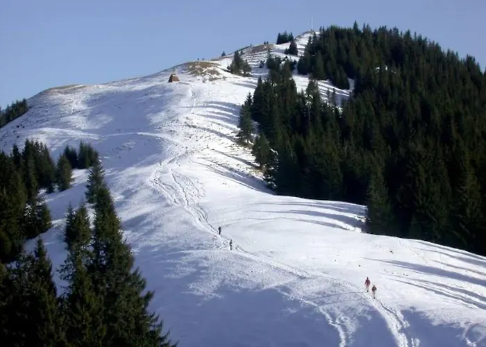 Daire Alpenblick *